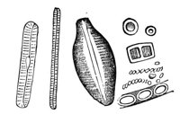 418860.jpg