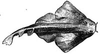 418850.jpg