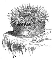418840.jpg