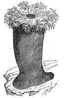 418838.jpg