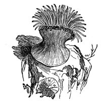 418836.jpg