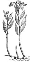 418828.jpg