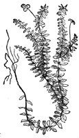 418812.jpg