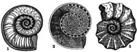 418802.jpg