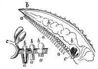 418788.jpg