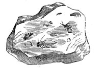 418784.jpg