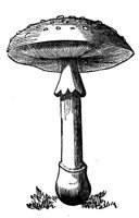 418778.jpg