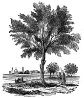 418760.jpg