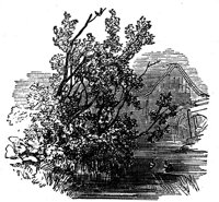 418738.jpg