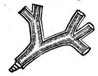 418712.jpg