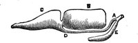 418708.jpg