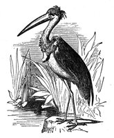 418676.jpg