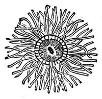 418670.jpg