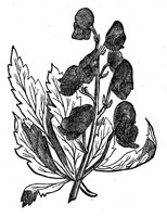418662.jpg