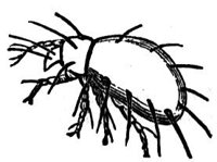 418656.jpg