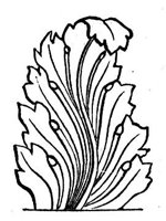 418654.jpg