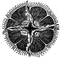 418644.jpg