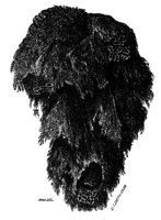 382747.jpg