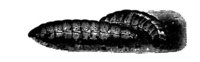 382743.jpg
