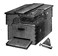 382555.jpg