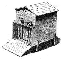 382545.jpg