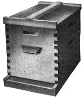 382443.jpg