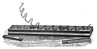 382437.jpg