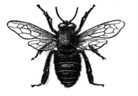 382335.jpg