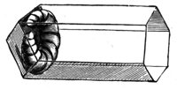 382321.jpg
