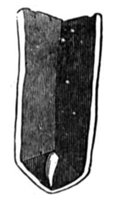 382317.jpg