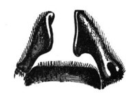 382255.jpg