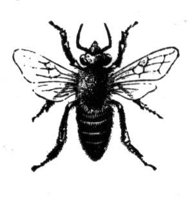 382199.jpg