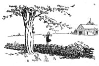347741.jpg
