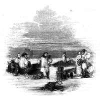 265433.jpg