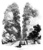 265355.jpg