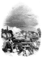 265303.jpg