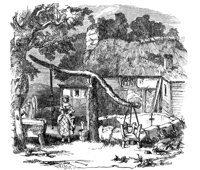 179672.jpg