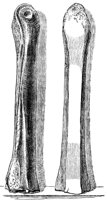 179598.jpg