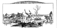 179510.jpg