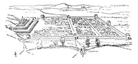 168624.jpg
