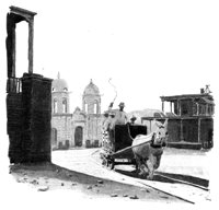 168542.jpg
