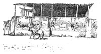168538.jpg