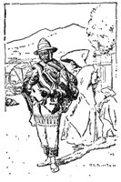 168532.jpg