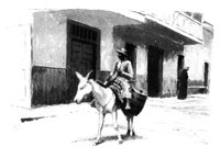 168510.jpg