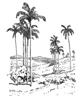 168494.jpg