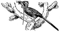 1558.jpg