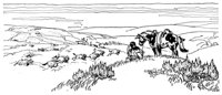 1532.jpg