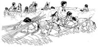 1494.jpg