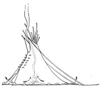 1488.jpg