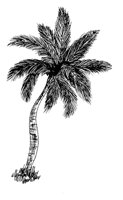 TREE63.PCX